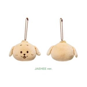 NCT WISH WISH_30CM DOLL (RIKU Ver.) Accessories : タワーレコード