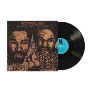 The Visitors Motherland＜限定盤＞ LP