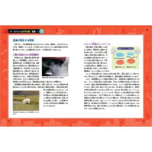 韓賢東 猛暑のサバイバル Bookの詳細画像3
