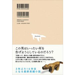 村上春樹 夏帆 The Tale of KAH...の詳細画像2
