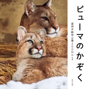 盛岡市動物公園ZOOMO ピューマのかぞく Bookの詳細画像1