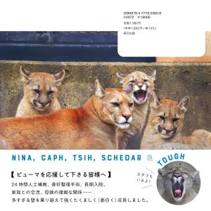 盛岡市動物公園ZOOMO ピューマのかぞく Bookの詳細画像2