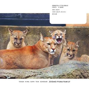 盛岡市動物公園ZOOMO ピューマのかぞく Bookの詳細画像3