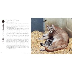 盛岡市動物公園ZOOMO ピューマのかぞく Bookの詳細画像4