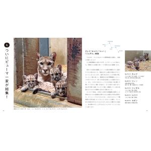盛岡市動物公園ZOOMO ピューマのかぞく Bookの詳細画像5