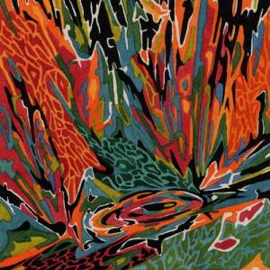 Akusmi Terra Incognita＜限定盤＞ CD