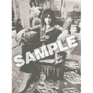 T. Rex 電気の武者 [LP+ポスター]<...の詳細画像2