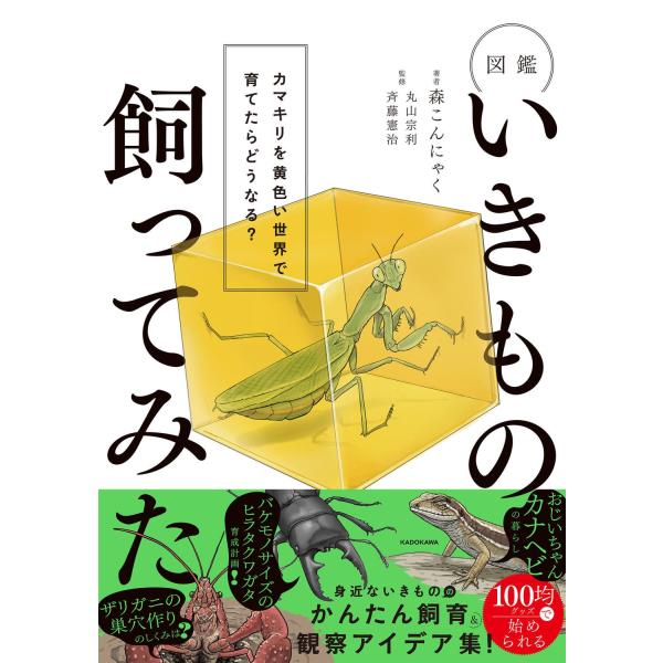 森こんにゃく 図鑑いきもの飼ってみた カマキリを黄色い世界で育てたらどうなる? Book