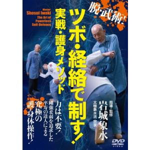 岩城象水 脱・武術! ツボ・経絡で制す! 実戦・護身メソッド DVD