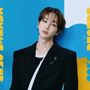 ONEW (SHINee) 『KAKERA -運命のピース-』＜E盤＞ 12cmCD Single ※特典あり