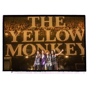 MITCH IKEDA THE YELLOW ...の詳細画像3