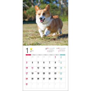 井川俊彦 2027年カレンダー ウェルシュ・コ...の詳細画像4
