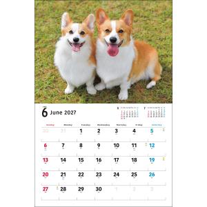 井川俊彦 2027年カレンダー ワイド判 ウェ...の詳細画像1