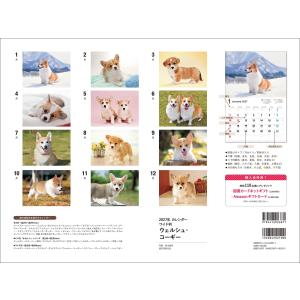 井川俊彦 2027年カレンダー ワイド判 ウェ...の詳細画像4