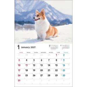 井川俊彦 2027年カレンダー ワイド判 ウェ...の詳細画像5