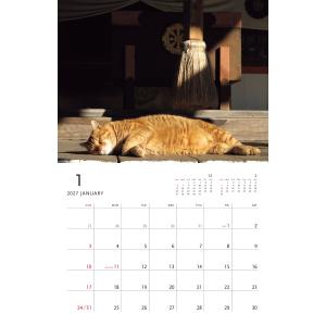 岩合光昭 2027 岩合光昭 ねこ 壁掛けカレ...の詳細画像1