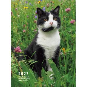 岩合光昭 2027 岩合光昭 ねこ手帳 Bookの商品画像