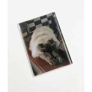 岩合光昭 2027 岩合光昭 ねこ手帳 Bookの詳細画像5
