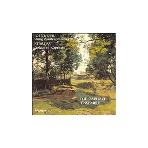 ラファエル・アンサンブル ブルックナー: 弦楽五重奏曲、間奏曲ニ短調 CD