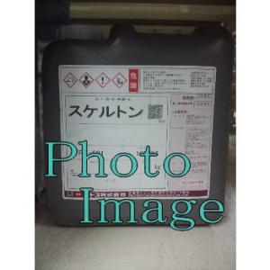 スケルトン　　ナトコ