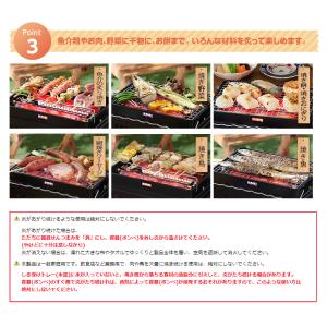 Iwatani カセットガスの炉ばた焼器 炙り...の詳細画像3