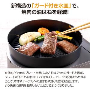 CB-SLG-3 イワタニ カセットガススモー...の詳細画像1