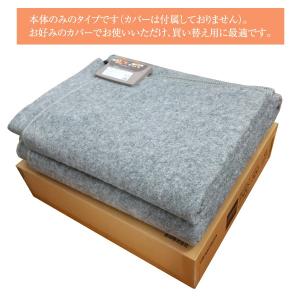 訳あり品 ホットカーペット 本体(電気カーペッ...の詳細画像2