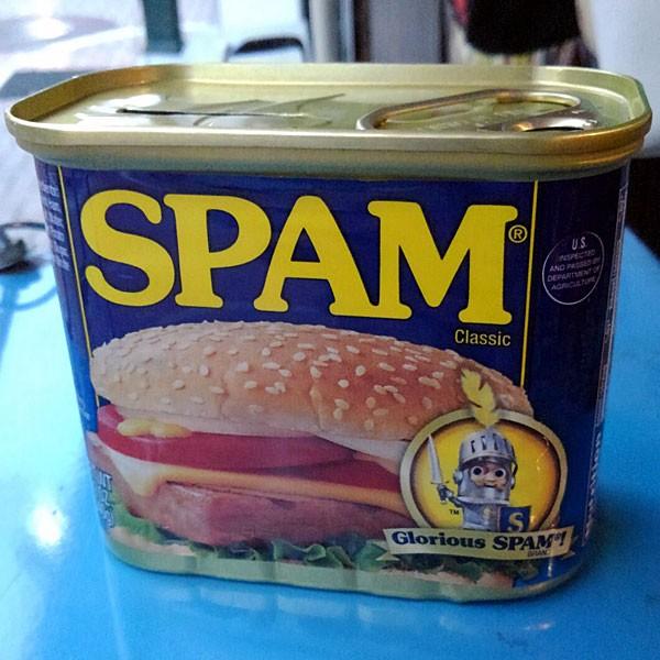 SPAM BANK スパム コインバンク 貯金箱
