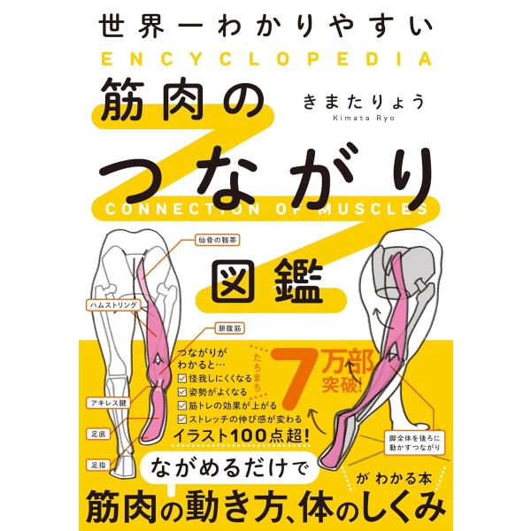 世界一わかりやすい 筋肉のつながり図鑑　KADOKAWA