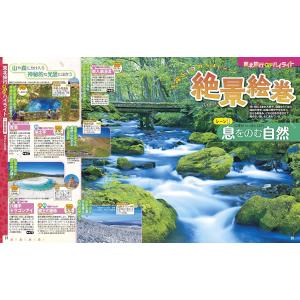 るるぶ 東北 ’27 通常版 JTBパブリッシングの詳細画像4