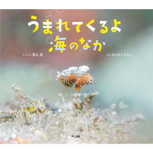 うまれてくるよ海のなか　アリス館