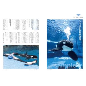 シャチまるごとBOOK (TATSUMI MO...の詳細画像2