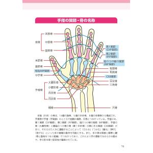 大学教授・関節症の名医が教える 運動を頑張らな...の詳細画像1