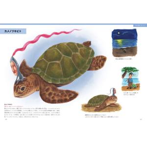 こびと大図鑑 (こびとづかん) ロクリン社の詳細画像3