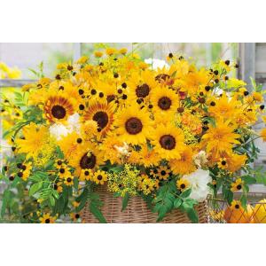 ポジティブフラワー パズル 1000ピースの買取情報