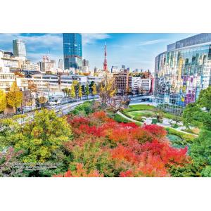 ジグソーパズル 東京都港区「六本木ヒルズ毛利庭園より見る」 ［CP-JS］ 300ピース  CUT-...