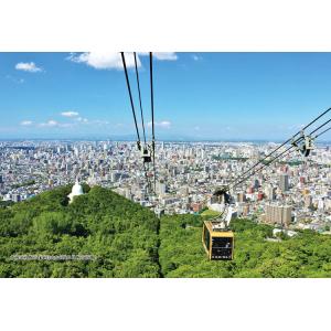ジグソーパズル 北海道札幌市「藻岩山から見る札幌市街地」 ［CP-JS］ 300ピース  CUT-3...