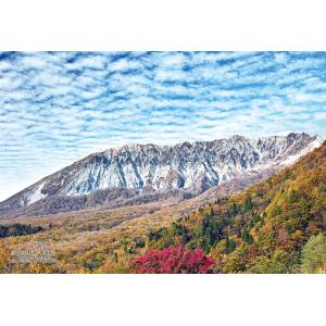 ジグソーパズル 鳥取県日野郡「鍵掛峠」 300ピース CUT-300-469
