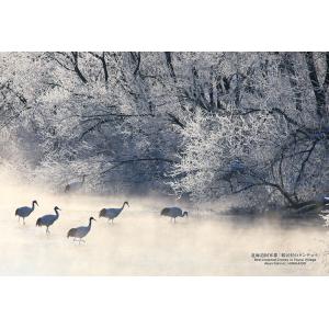ジグソーパズル 北海道阿寒郡「鶴居村のタンチョウ」 300ピース CUT-300-475