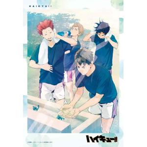 エンスカイ ハイキュー！！ ジグソーパズル 126-AC78 集結 アート