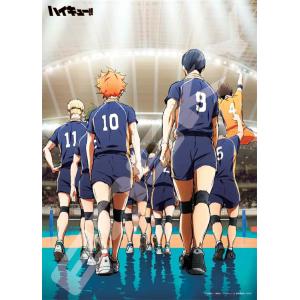 ジグソーパズル 試合開始!(ハイキュー!!)  500ピース  ENS-500-543