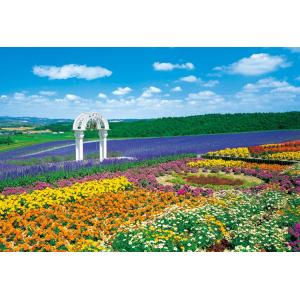 ジグソーパズル 花の咲く丘-富良野 300ピース 風景 EPO-25-081