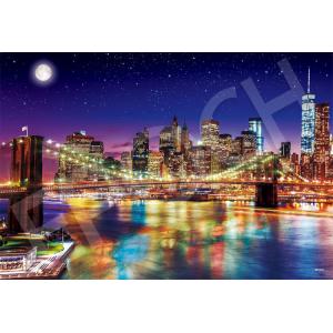 ジグソーパズル ニューヨーク夜景 300ピースの買取情報