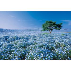 ジグソーパズル ネモフィラの丘-茨城 ［CP-JS］ 1053ピース  EPO-31-003