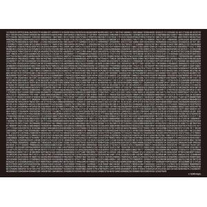 ジグソーパズル 数学界からの挑戦状  2000ピース  EPO-71-747