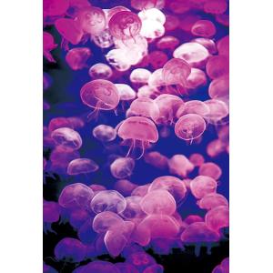 ジグソーパズル 深海からの挑戦状 1053ピース EPO-79-177