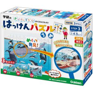 アポロ社 ジグソーパズル でんしゃであいうえお 50ピース APO-25-241