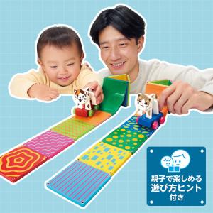 ピタゴラスBASIC 1歳のファミリーピタゴラ...の詳細画像4