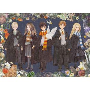 ジグソーパズル 魔法使いと魔法生物たち(ハリーポッター)  108ピース  TEN-B108-827