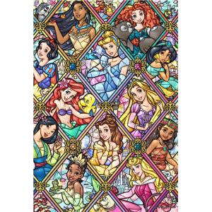 ジグソーパズル ディズニープリンセスがいっぱい！(ディズニー) 96ピース TEN-DK96-369